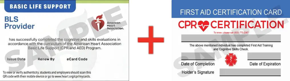 Sample American Heart Association AHA BLS CPR Card Certification and First Aid Certification Card from CPR Certification Glendale