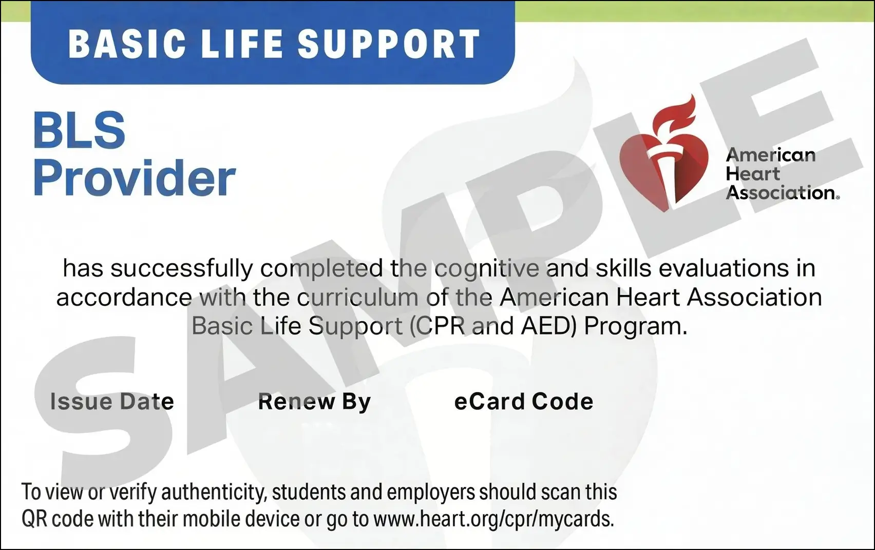 Sample American Heart Association AHA BLS CPR Card Certification from CPR Certification Glendale
